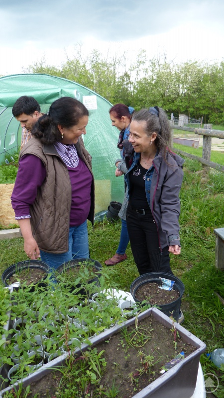 Eva Hackl von der Caritas Satu Mare (re.): Mit Gemüse aus Foliengewächshäusern sollen sich Menschen mit Behinderungen im Haus Perla selbst versorgen können. Dort stehen auch Renovierungsarbeiten an. Neue Küchenmöbel werden dringend benötigt.