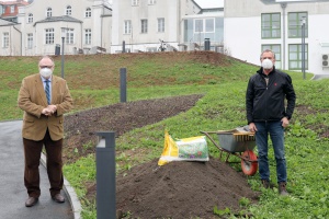 Weitere Blühwiesen zur Bewahrung der Artenvielfalt