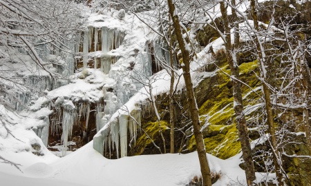 Auf Schneeschuhen durch die wilde Höllbachschlucht