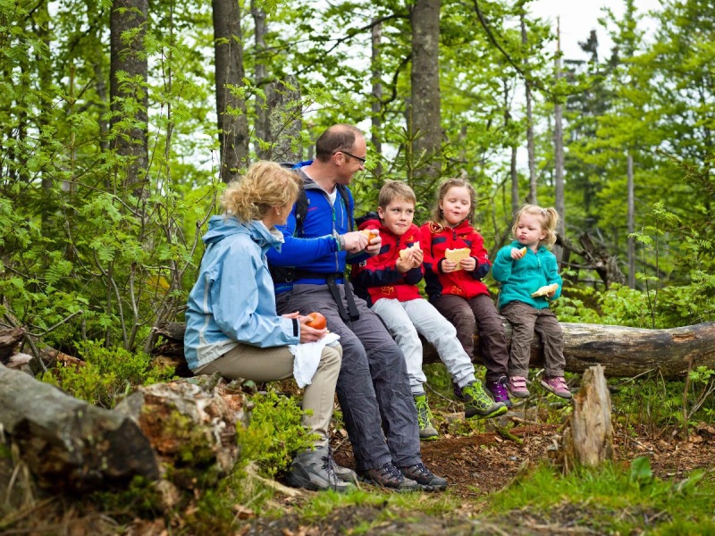 Flyer/Grafik zum Event: Grenzüberschreitende Familienführung in den Nationalpark Šumava am Di., 21.05.2024 - Di., 29.10.2024