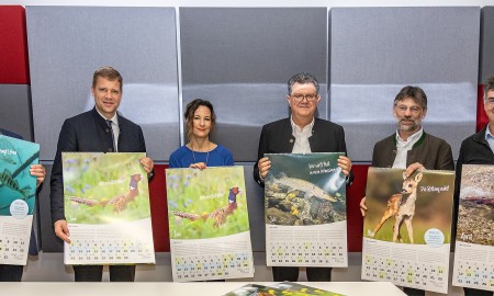 „Wilde Experten“ im Klassenzimmer