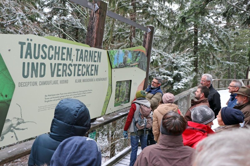 Flyer/Grafik zum Event: Wipfelstürmer am Di., 15.07.2025 - Mo., 23.02.2026