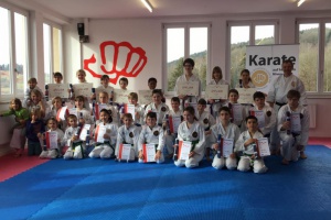 Gürtelprüfungen bei Bayerwald-Karateka