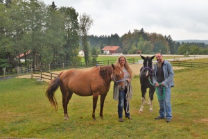 HerzensPferde: Andrea Klotsch setzt auf die Empathie der Pferde