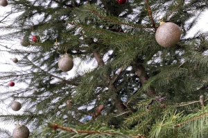 Ein Christbaum – dort wo ihn keiner erwartet