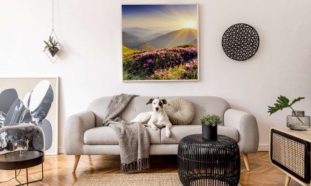 Poster mit Naturmotiven für das Wohnzimmer – 5 inspirierende Ideen