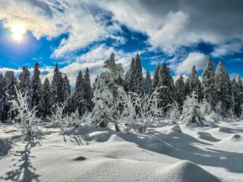 Flyer/Grafik zum Event: Winterzauber am So., 04.01.2026 von 14:00 bis 18:00 Uhr