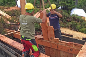 Freiwillige arbeiten fürs Moor