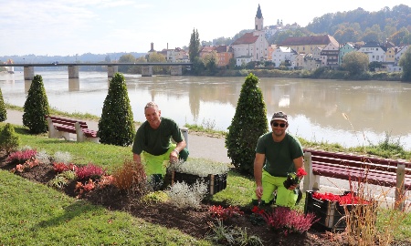 Herbstpflanzung in der Stadt Passau