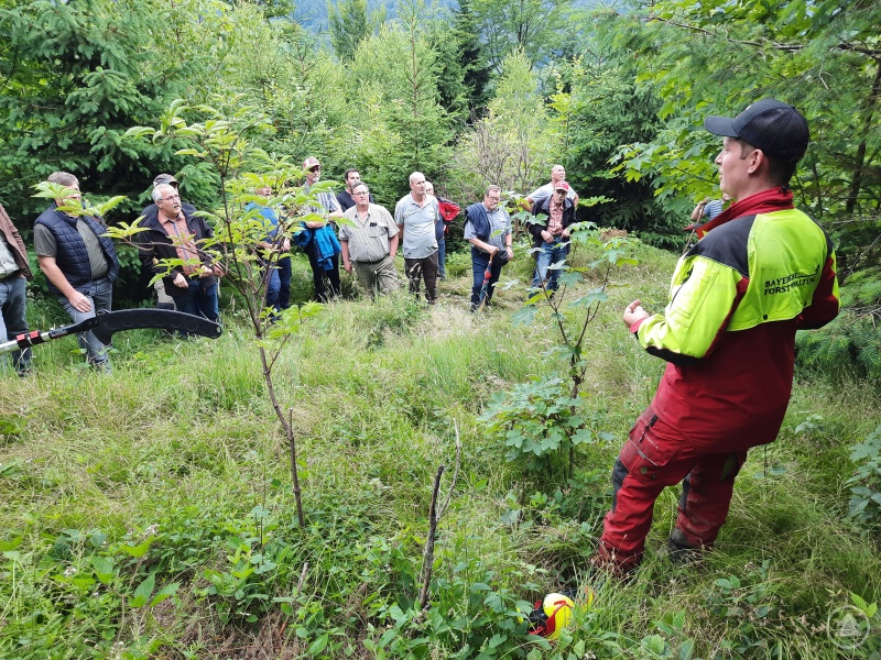 Forstrevierleiter Florian Hofinger (rechts) informiert über Waldumbau und Pflegemaßnahmen