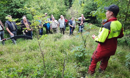 Sechs Jahre nach Sturm Kolle und dann?
