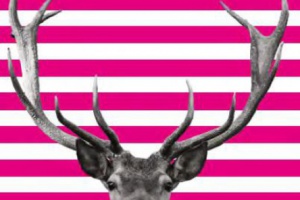 NaturVision Filmtagen