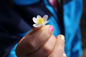 Von der Natur lernen