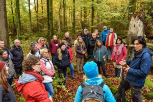 Beachtliche Jahresbilanz der Waldführer