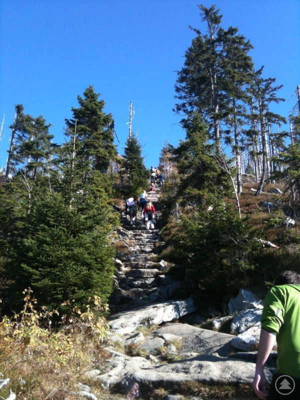 Himmelsleiter Lusen, Carina Höller, Mitarbeiterin Landratsamt FRG (Bild aus Fotowettbewerb 2022)