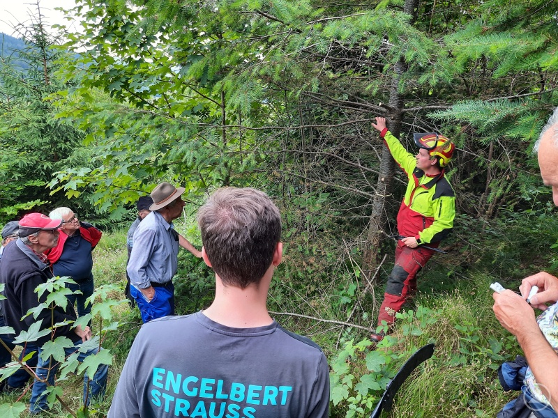 Forstrevierleiter Florian Hofinger (2.v.r.) demonstriert fachlich korrekte Wertastung