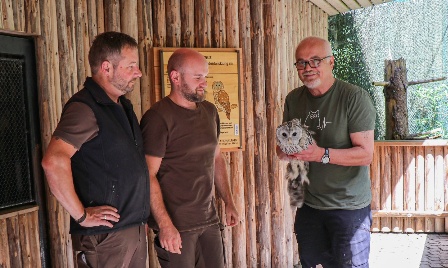 Habichtskäuze aus dem Nationalpark auf Reisen