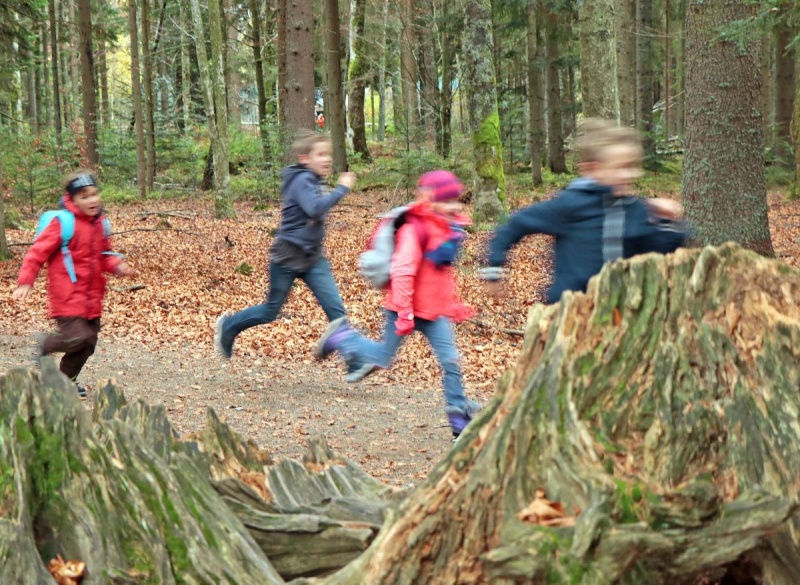 Flyer/Grafik zum Event: Waldspürnasen unterwegs am Di., 21.05.2024 - Di., 29.10.2024