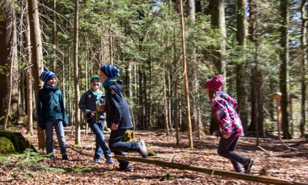 Die Waldspürnasen sind los! - Wildnis, Spiel und Spaß für Kinder in den Faschingsferien