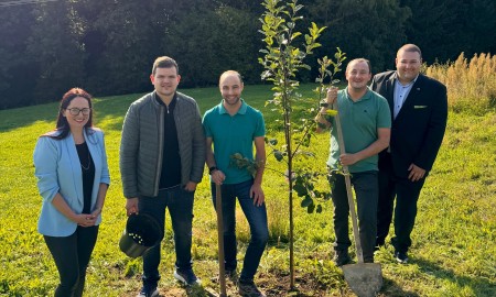 Ein Baum für Beständigkeit und Zukunft