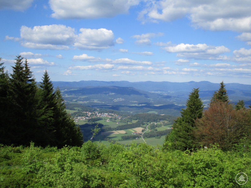 Laufend den Pröller 1.048 m erklimmen – beim Einsteigerkurs Trailrunning.