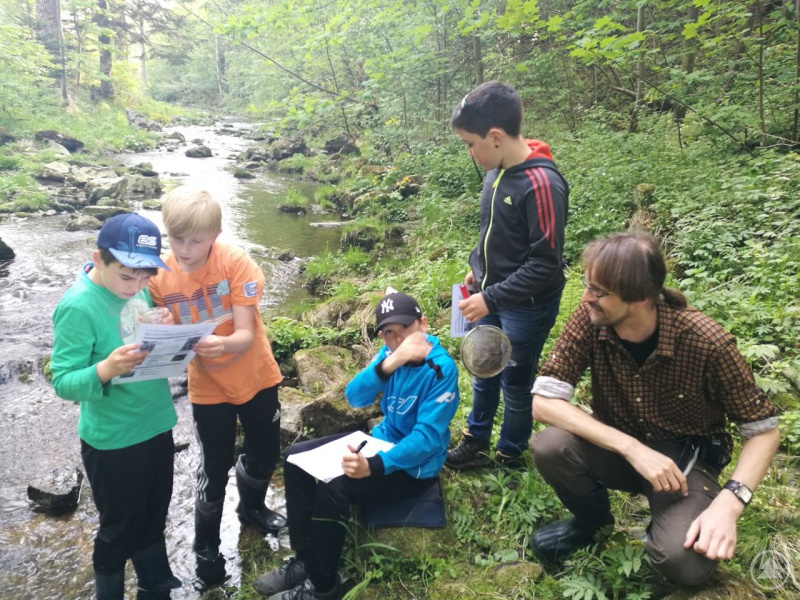Ausgestattet mit Informationsblättern, Stift, Käscher, Becherlupe und natürlich Gummistiefeln hieß es für die Fünftklässler bei ihrer ökologischen Exkursion Leben im Freyunger Saußbach zu untersuchen.