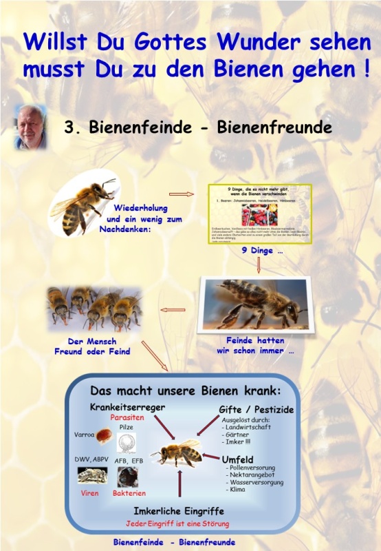 Flyer/Grafik zum Event: Willst Du Gottes Wunder sehen – musst Du zu den Bienen gehen am Mi., 10.04.2024 von 18:00 bis 20:00 Uhr