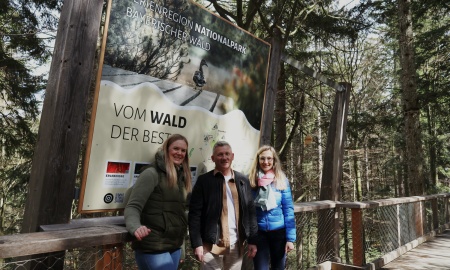 Neue Werbefläche am Baumwipfelpfad