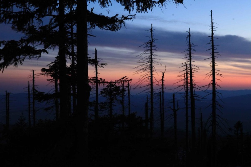 Flyer/Grafik zum Event: Abends im Reich der Tiere am Di., 21.05.2024 - Di., 29.10.2024