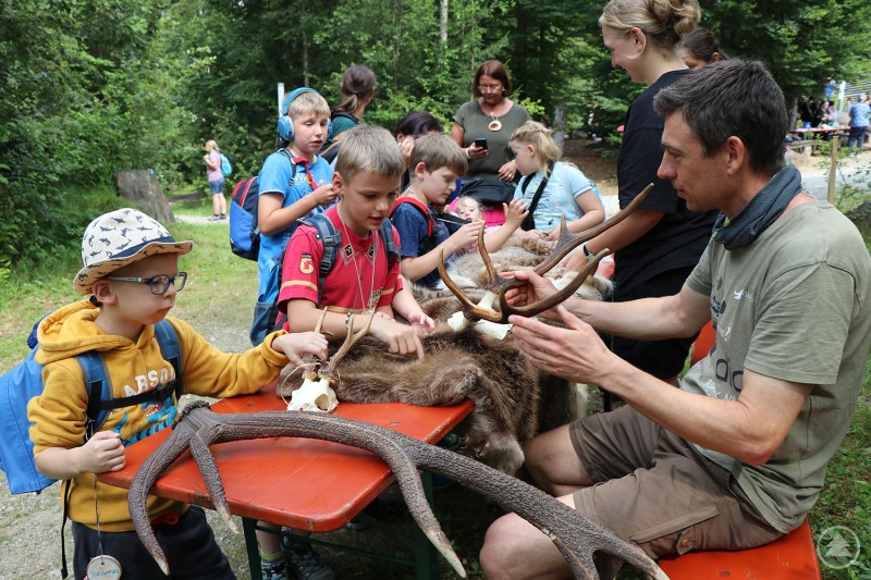 Wie fühlt sich ein Reh an? Das konnten die Besucher beim Tag für Menschen mit Behinderung erfahren
