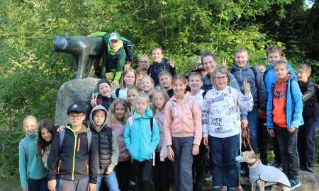 Im Totholz steckt ganz schön viel Leben