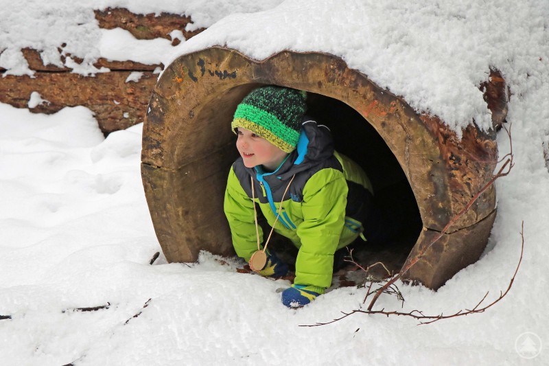 Kinder können in der zweiten Woche der Weihnachtsferien viele winterliche Waldabenteuer erleben.