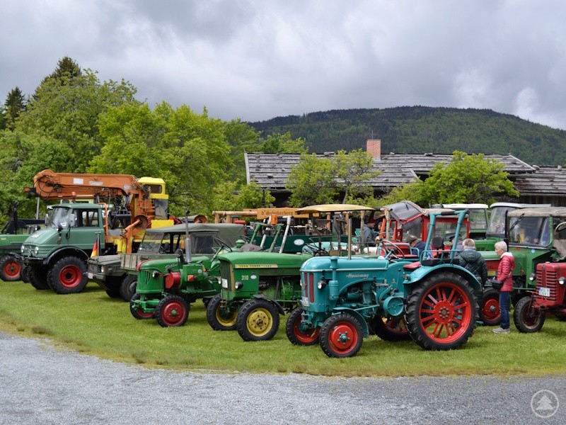 Mehrere bunte Oldtimer-Traktoren stehen in einer Reihe auf einer Wiese.