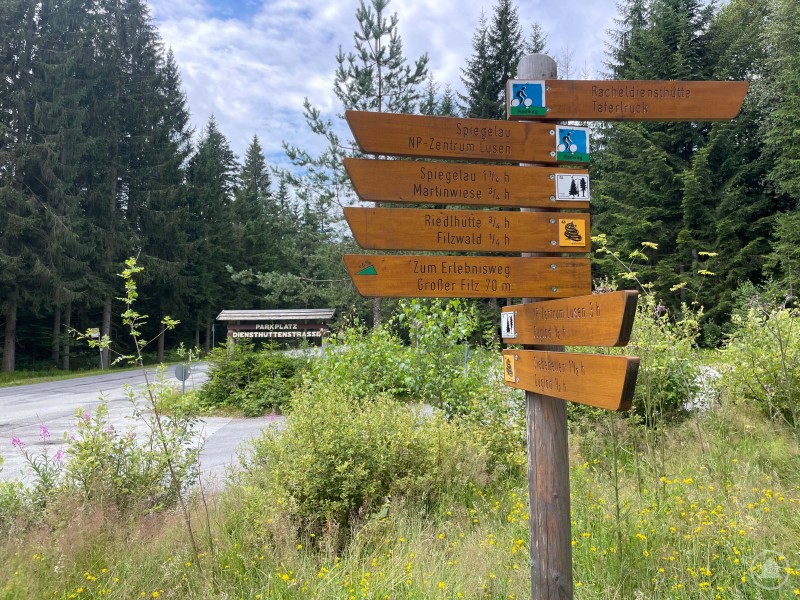 Künftig soll es Wanderern und Radfahrern erleichtert werden, die Nationalparkstraße an der Diensthüttenstraße zu überqueren. Ein Wegweiser aus Holz zeigt verschiedene Wander- und Radziele im Nationalpark Bayerischer Wald an. Im Hintergrund ist der Parkplatz „Diensthüttenstraße“ sowie dichter Wald zu sehen.