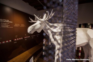 Museum „Jagd Land Fluss“ ab 26. Dezember wieder geöffnet