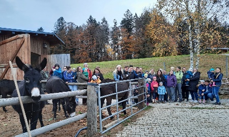 Andere Kinder haben auch zwei Mamas