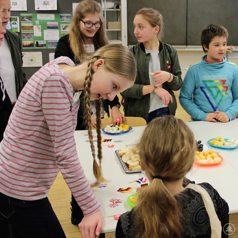 Geschmack trifft auf Geographie: Welcher Käse gehört zu welchem Land?