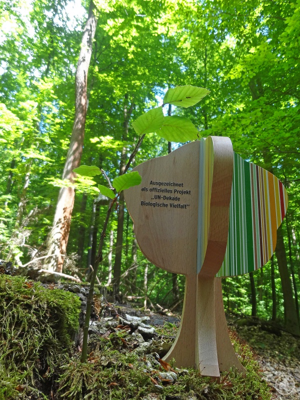 BioHolz darf sich nun „offizielles Projekt der UN-Dekade Biologische Vielfalt“ nennen.