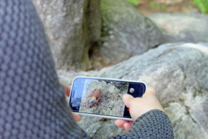 Wilde Nationalparkfilme gesucht
