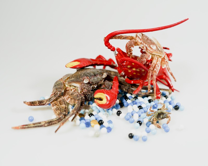 Flyer/Grafik zum Event: Barbara Wimmer-Bullin “VerGang” – Kunstausstellung 06.02.2025 – 30.03.2025 am Do., 06.02.2025 - So., 30.03.2025