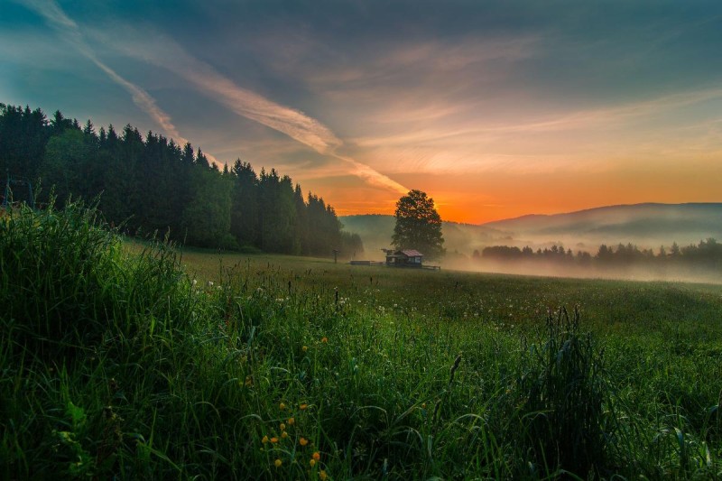 Flyer/Grafik zum Event: Jüdisches Leben im Böhmerwald am Sa., 26.04.2025 von 08:00 bis 15:00 Uhr