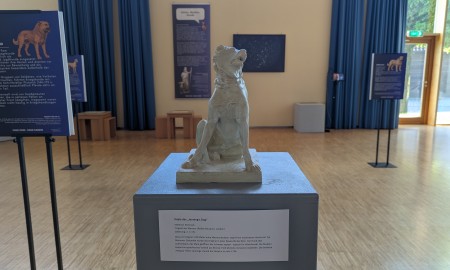 Mensch und Hund: Sonderausstellung im Museum Quintana beleuchtet eine uralte Freundschaft