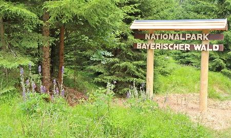 Finaler Schritt bei Erweiterung