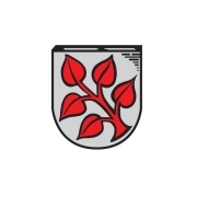 Gemeinde Frauenau