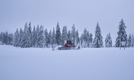 Raus in den Schnee und rauf auf die Ski