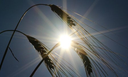 Unser Wetter im Rückblick