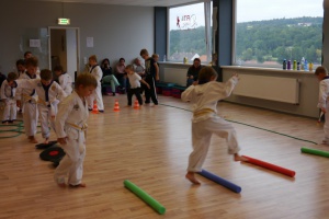 Vom Hobby zum Beruf, bis hin zur Berufung - Einblick in die SANKAN Kampfkunstschule