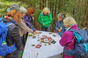 15 neue Nationalpark-Waldführer
