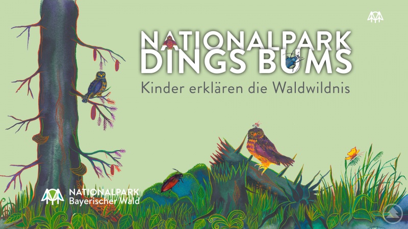 Mehrere Folgen des Projektes sind geplant. Veröffentlicht werden Sie über Youtube und Facebook.