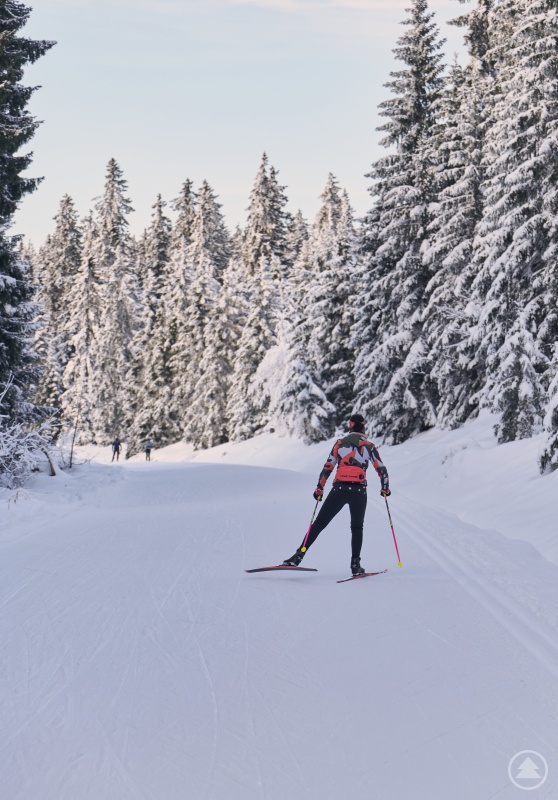 Ein Langläufer im verschneiten Bayerwald.